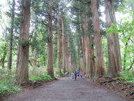 20120610杉並木