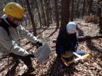 プロット内の伐倒木、材積の確認