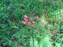 20100710N\E