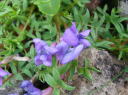 20100710I}mGhE