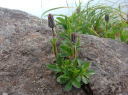 20100710`V}MLE